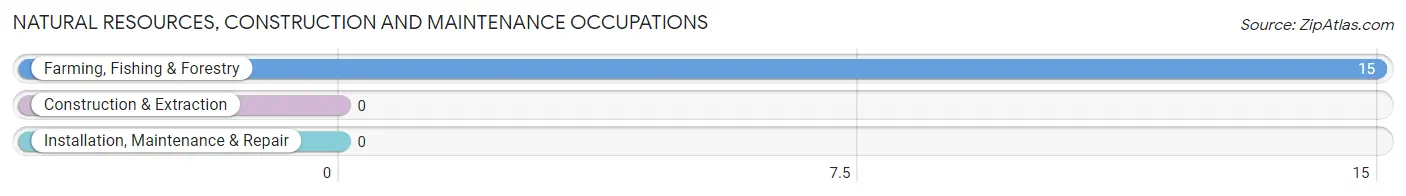 Natural Resources, Construction and Maintenance Occupations in Zip Code 56565