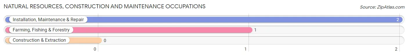 Natural Resources, Construction and Maintenance Occupations in Zip Code 56591