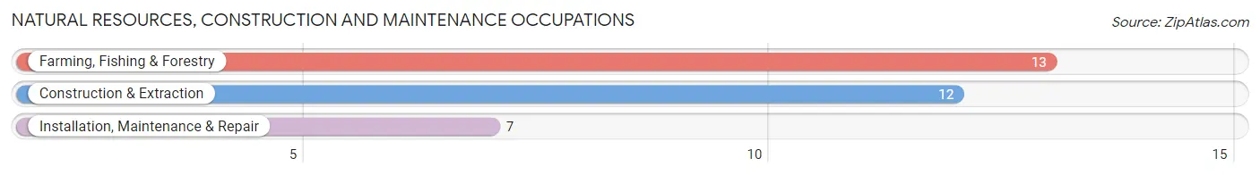 Natural Resources, Construction and Maintenance Occupations in Zip Code 56710