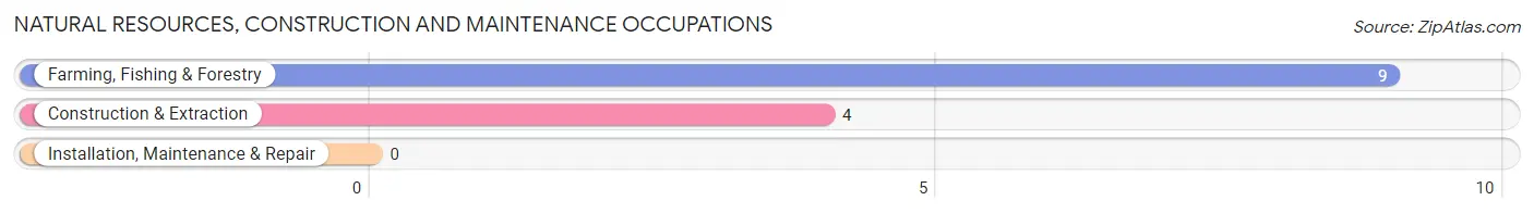 Natural Resources, Construction and Maintenance Occupations in Zip Code 58572