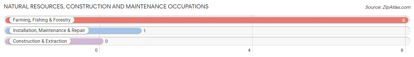 Natural Resources, Construction and Maintenance Occupations in Zip Code 59078