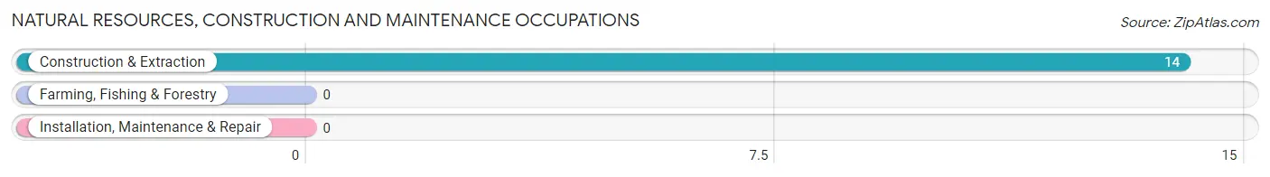 Natural Resources, Construction and Maintenance Occupations in Zip Code 59326