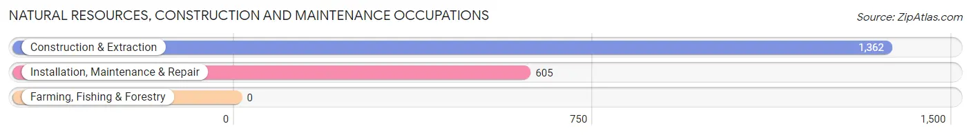 Natural Resources, Construction and Maintenance Occupations in Zip Code 60056