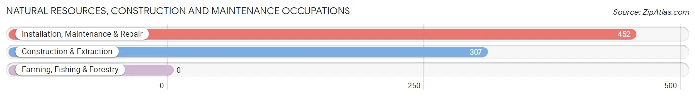 Natural Resources, Construction and Maintenance Occupations in Zip Code 60077