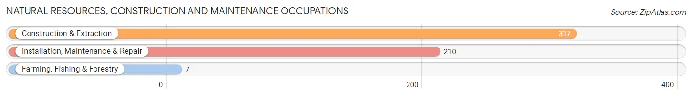 Natural Resources, Construction and Maintenance Occupations in Zip Code 60187