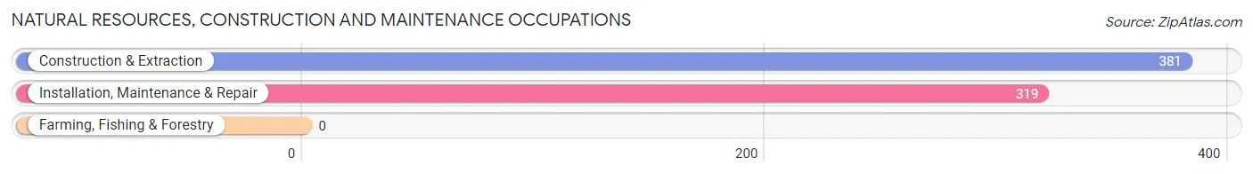 Natural Resources, Construction and Maintenance Occupations in Zip Code 60189