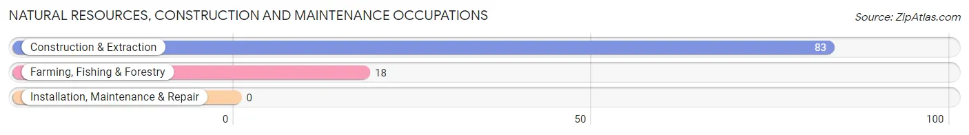 Natural Resources, Construction and Maintenance Occupations in Zip Code 60605