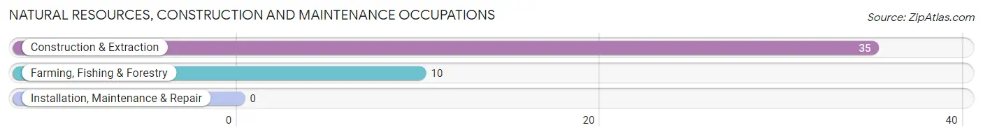Natural Resources, Construction and Maintenance Occupations in Zip Code 61050