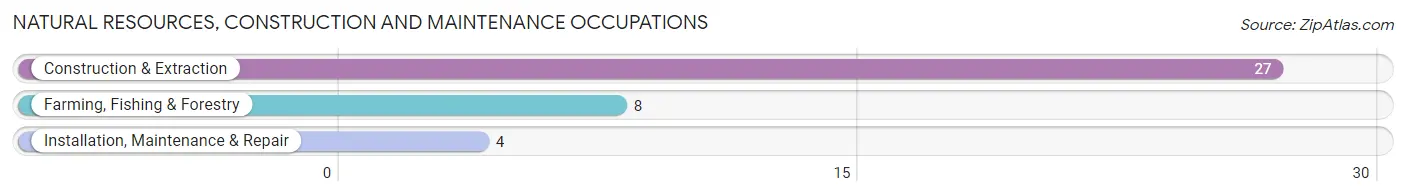 Natural Resources, Construction and Maintenance Occupations in Zip Code 61458
