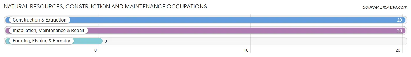Natural Resources, Construction and Maintenance Occupations in Zip Code 61535