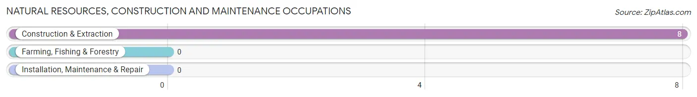 Natural Resources, Construction and Maintenance Occupations in Zip Code 61751