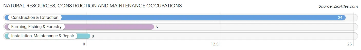 Natural Resources, Construction and Maintenance Occupations in Zip Code 62081