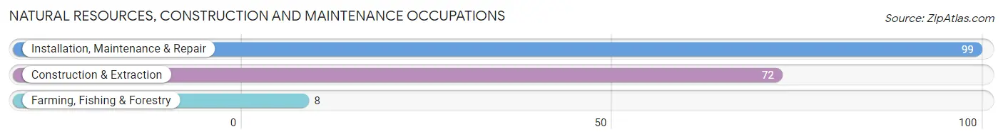 Natural Resources, Construction and Maintenance Occupations in Zip Code 62540