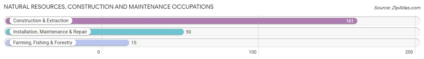 Natural Resources, Construction and Maintenance Occupations in Zip Code 62922