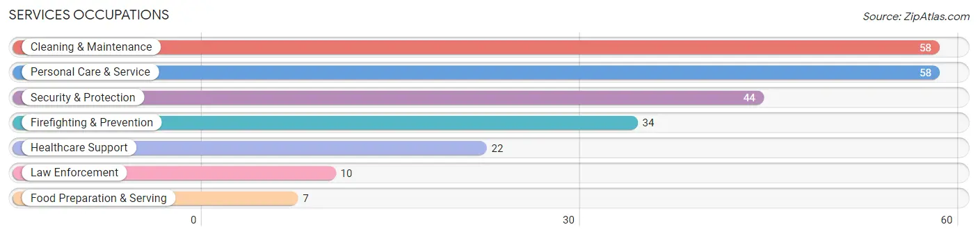 Services Occupations in Zip Code 62987