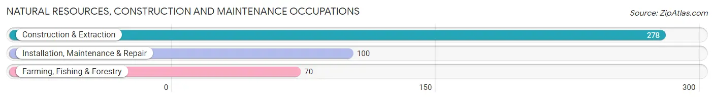 Natural Resources, Construction and Maintenance Occupations in Zip Code 63461