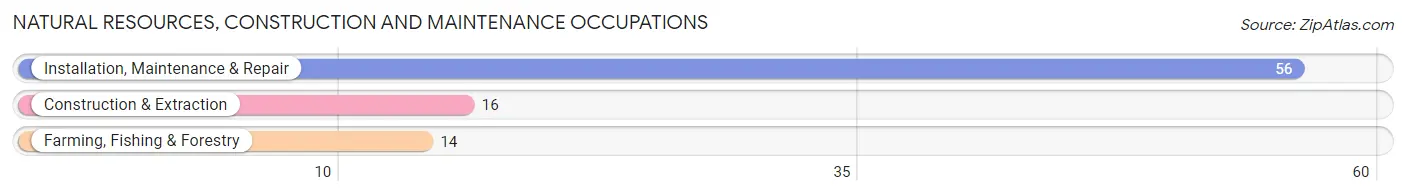 Natural Resources, Construction and Maintenance Occupations in Zip Code 64018