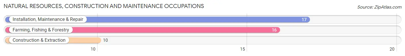 Natural Resources, Construction and Maintenance Occupations in Zip Code 64641