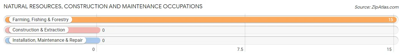 Natural Resources, Construction and Maintenance Occupations in Zip Code 64750