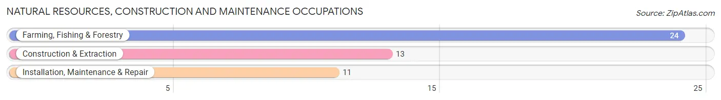 Natural Resources, Construction and Maintenance Occupations in Zip Code 64756