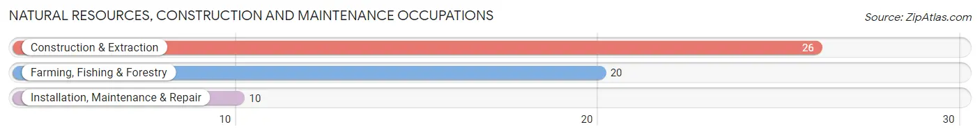 Natural Resources, Construction and Maintenance Occupations in Zip Code 65025