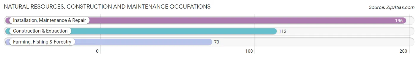 Natural Resources, Construction and Maintenance Occupations in Zip Code 66609