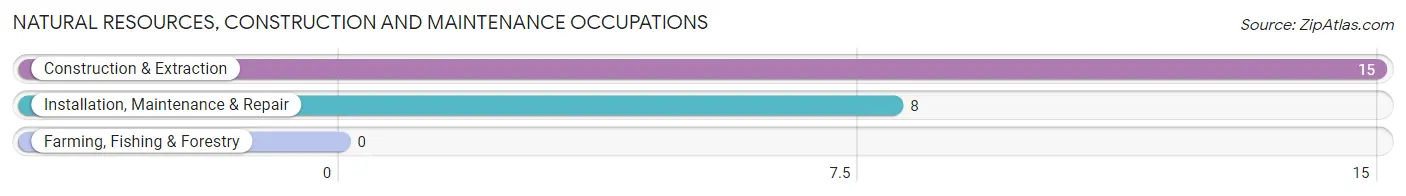 Natural Resources, Construction and Maintenance Occupations in Zip Code 67349