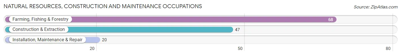 Natural Resources, Construction and Maintenance Occupations in Zip Code 67646