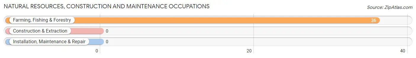 Natural Resources, Construction and Maintenance Occupations in Zip Code 68326