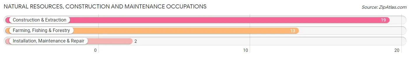 Natural Resources, Construction and Maintenance Occupations in Zip Code 68834