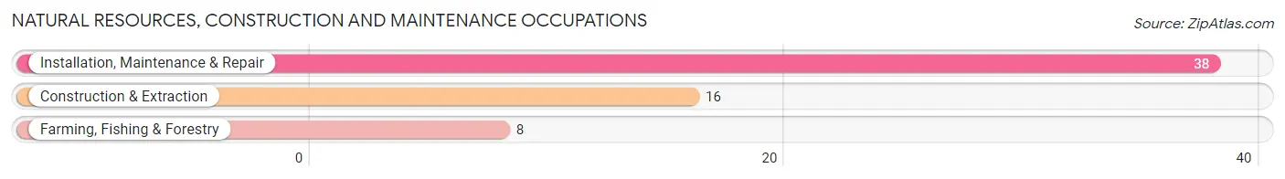 Natural Resources, Construction and Maintenance Occupations in Zip Code 68938