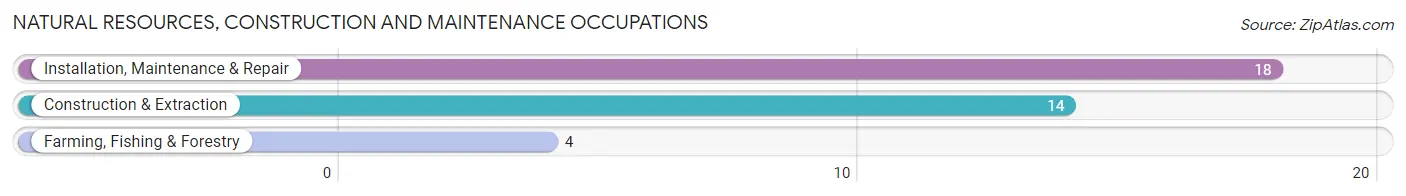 Natural Resources, Construction and Maintenance Occupations in Zip Code 69352