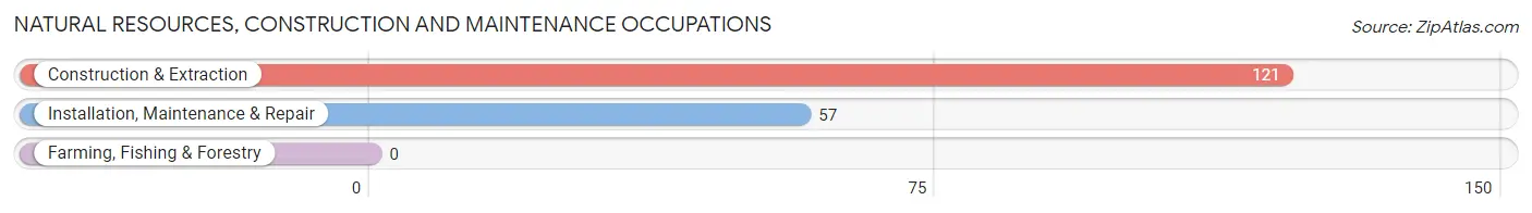 Natural Resources, Construction and Maintenance Occupations in Zip Code 72207