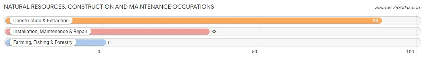 Natural Resources, Construction and Maintenance Occupations in Zip Code 73002