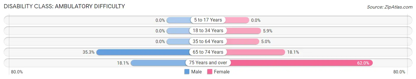 Disability in Zip Code 73128: <span>Ambulatory Difficulty</span>