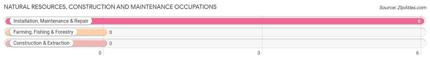 Natural Resources, Construction and Maintenance Occupations in Zip Code 73733