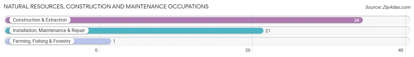 Natural Resources, Construction and Maintenance Occupations in Zip Code 73734