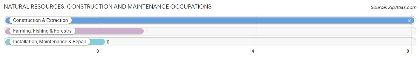 Natural Resources, Construction and Maintenance Occupations in Zip Code 74534