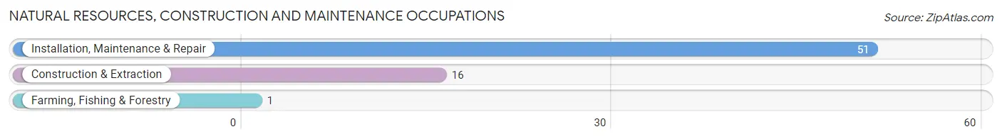Natural Resources, Construction and Maintenance Occupations in Zip Code 74736