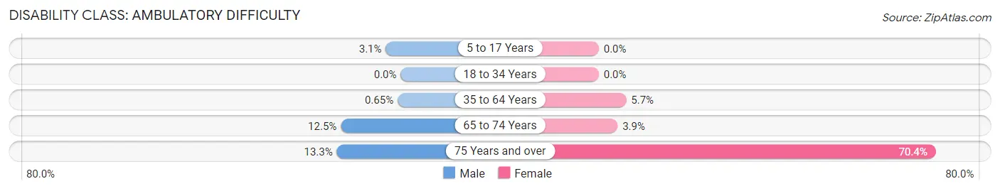 Disability in Zip Code 83228: <span>Ambulatory Difficulty</span>