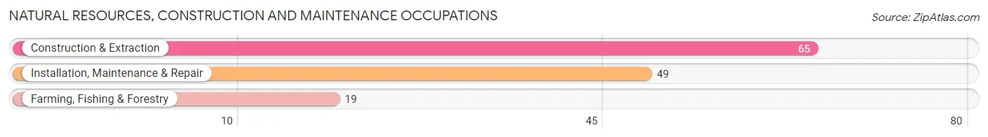 Natural Resources, Construction and Maintenance Occupations in Zip Code 83228