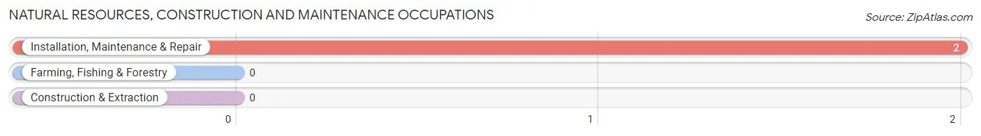 Natural Resources, Construction and Maintenance Occupations in Zip Code 83281