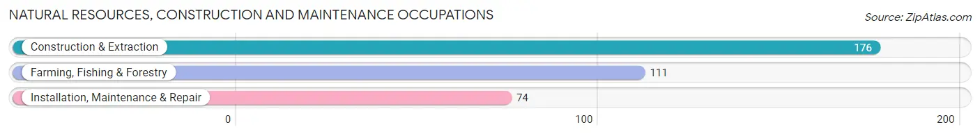 Natural Resources, Construction and Maintenance Occupations in Zip Code 83352