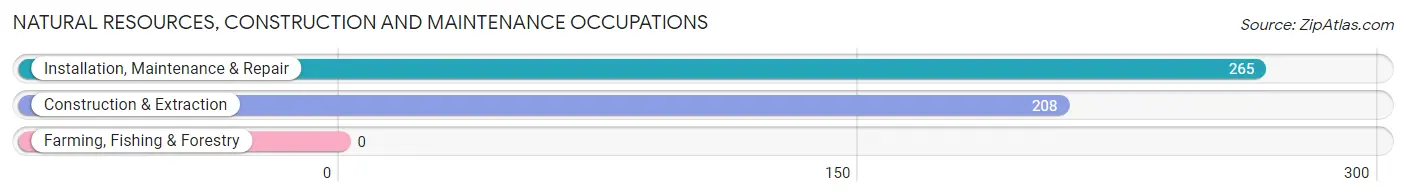 Natural Resources, Construction and Maintenance Occupations in Zip Code 84054