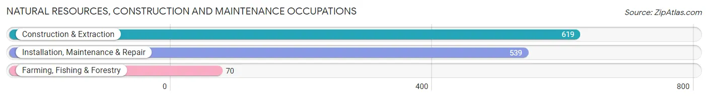 Natural Resources, Construction and Maintenance Occupations in Zip Code 84075