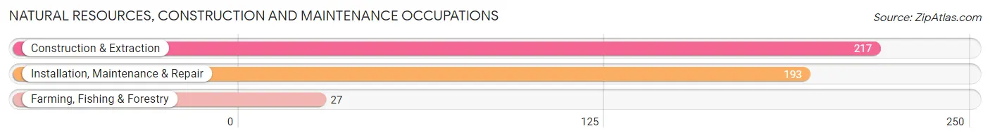 Natural Resources, Construction and Maintenance Occupations in Zip Code 85028