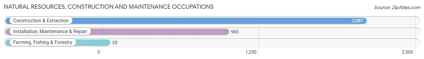 Natural Resources, Construction and Maintenance Occupations in Zip Code 85225