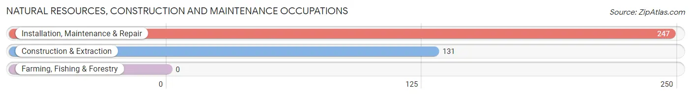 Natural Resources, Construction and Maintenance Occupations in Zip Code 85736