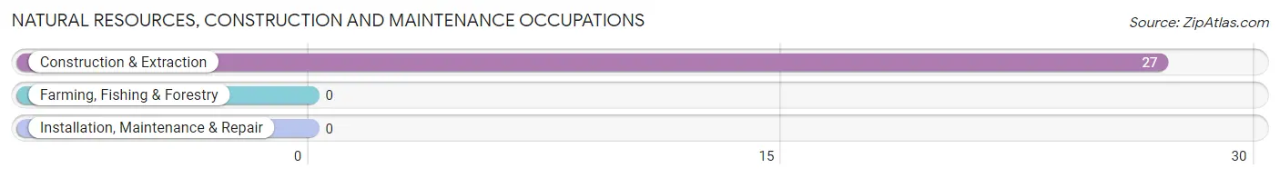 Natural Resources, Construction and Maintenance Occupations in Zip Code 87010