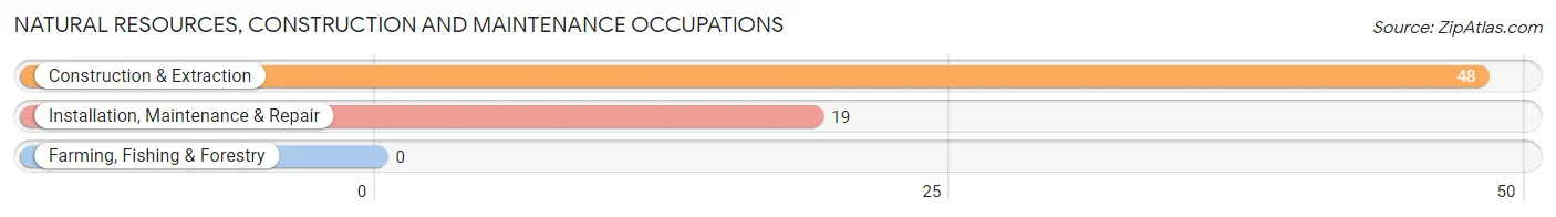 Natural Resources, Construction and Maintenance Occupations in Zip Code 87328